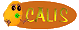 Cālis
