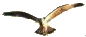 Slītere