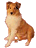 Lesija